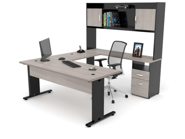 Modulo-directivo Modulo-directivo